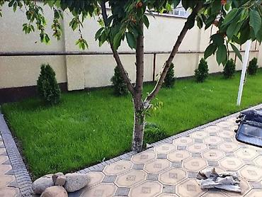 Газон: Поссев газон✓ Посадка цветов ✓ Посадка декоративных растений ✓ — 13