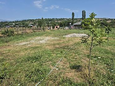 Torpaq sahələrinin satışı: 25 sot, Tikinti, Mülkiyyətçi, Kupça (Çıxarış) — 7