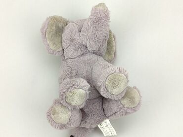 skarpety nie do pary dla dzieci: Mascot Elephant, condition - Perfect