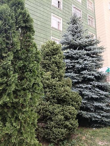 ещё квартиру: 4 комнаты, 110 м², Элитка, 7 этаж, Евроремонт — 2