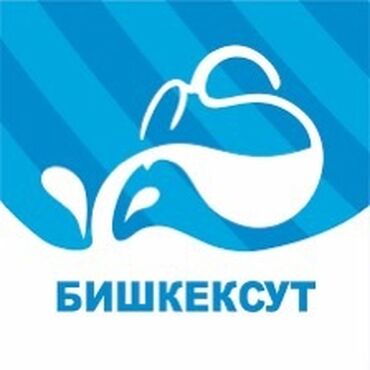 торговый представитель: Требуется торговый представитель в компанию PepsiCo продукция чипсы