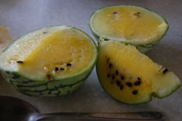 Другие услуги: Ищу бизнес партнера, инвестора, для выращивания овощей (открытый — 29