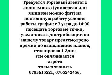 торговый представитель с авто: Требуется Торговый агент, График: Шестидневка, Без опыта, Обучение, Стажировка — 2