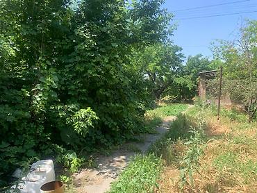 Продажа коттеджей и домов: 🏡 ПРОДАЕТСЯ БОЛЬШОЙ ДОМ 📢 📍 ГЭС-2 ✅ 5 комнат ✅ Площадь дома — 200 м² at lalafo.kg — 6 Продажа коттеджей и домов: 🏡 ПРОДАЕТСЯ БОЛЬШОЙ ДОМ 📢 📍 ГЭС-2 ✅ 5 комнат ✅ Площадь дома — 200 м² — 6