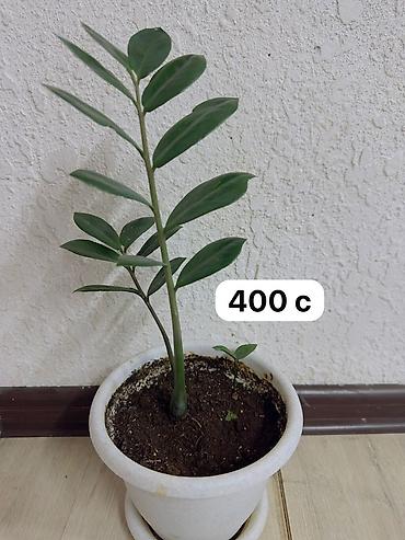 Спецодежда: Бул товарлар сатылат арзан баада жакшы качестводогу кийимдер at lalafo.kg — 19 Спецодежда: Бул товарлар сатылат арзан баада жакшы качестводогу кийимдер — 19