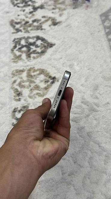 iphone adapter: IPhone 16Pro, цвет Natural Titanium (натуральный титан) 16 Pro в — 3