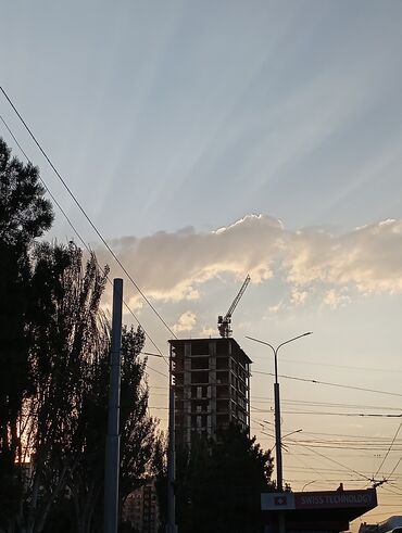 номер для дома: Фотообои
