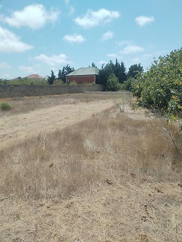 sahe: 6 sot, Tikinti, Makler, Kupça (Çıxarış) — 7