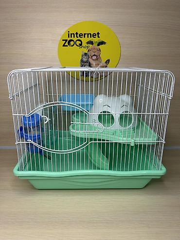 Хомяки: Продаются хомячки джунгарские, сирийские, ангорские пушистые хомячки — 26