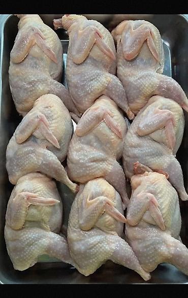 кукуруа: ГолубьГолубей ( . Продаю голубей пародистые есть, есть на мясо — 4