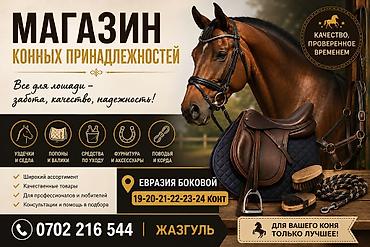 товары для лошадей: Магазин конных принадлежностей Все для лошади — забота, качество — 1