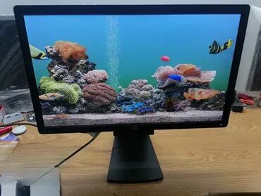 Monitori: Monitor HP 24" Pivot . Kao nov, Lepo ocuvan bez ogrebotina — 4