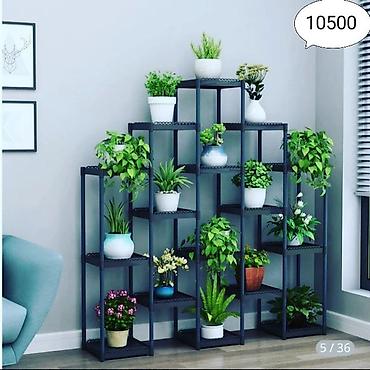 Тележки-органайзеры на колесах: Этажерки/стеллажи для комнатных растений - Дизайн: современные — 2