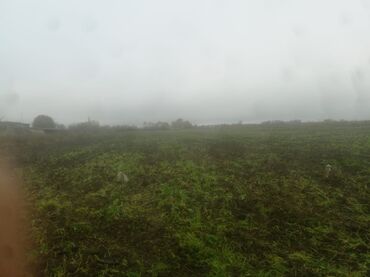 Torpaq sahələrinin satışı: 400 sot, Kənd təsərrüfatı, Maklerlər narahat etməsin — 25