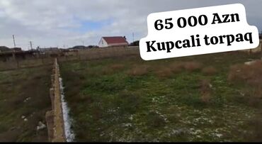 Torpaq sahələrinin satışı: 15 sot, Kupça (Çıxarış)