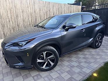Lexus: Lexus NX: 2021 г., 2.5 л, Вариатор, Гибрид, Кроссовер — 13