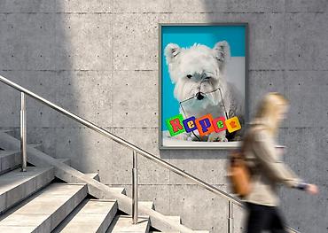 Интернет реклама: Разрабатываю логотипы. Если у вас есть проекты или идеи, которые — 17