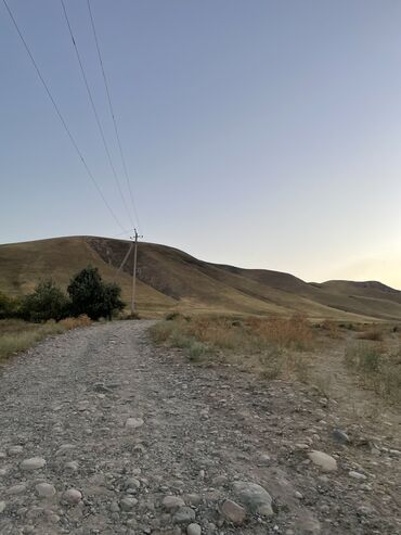 Сельхоз предприятия: Продаю Кошара, 50 соток, Действующий, Без оборудования, Электричество — 31