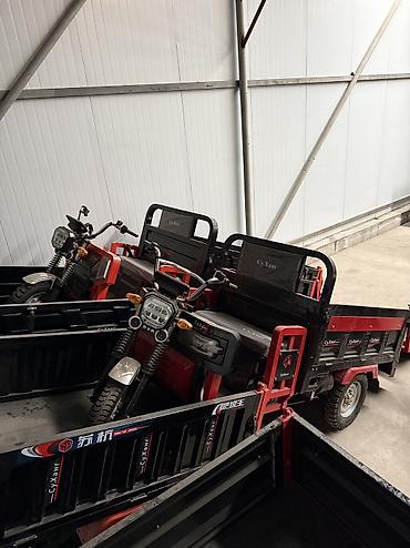 Мотороллеры муравей: Грузовые трициклы (моторикши/мотокары) для перевозки грузов Описание — 10