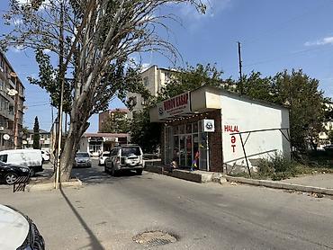 donuz eti: Mürov Kasap – halal kəsim ət, ət məhsulları və süd məhsulları — 7