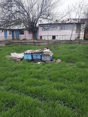 ev alqi satqisi 2018 sumqayit: 3 комнаты, 70 м², Средний ремонт — 6