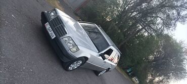 Mercedes-Benz: Mercedes-Benz W124: 1994 г., 2.2 л, Механика, Газ, Универсал