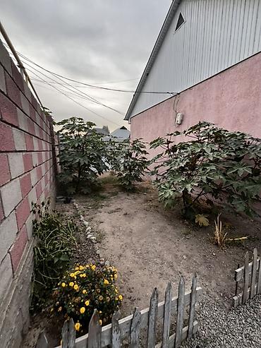 продаю дачу кант: 6 комнат, 150 м², 8 соток, Шевченко, Собственник — 9