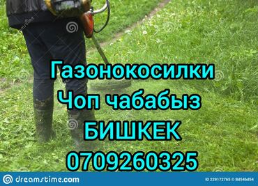 садовый нож: Бензиновый триммер с красным двигателем и длинной штангой