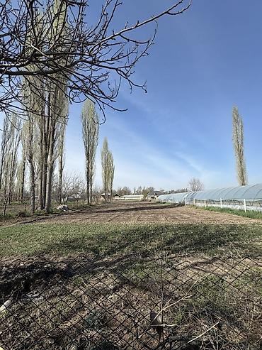 дом и сад: 📍 Село Садовое 🏡 Продаётся дом из 4 комнат на участке 30 соток! 🏠 — 3