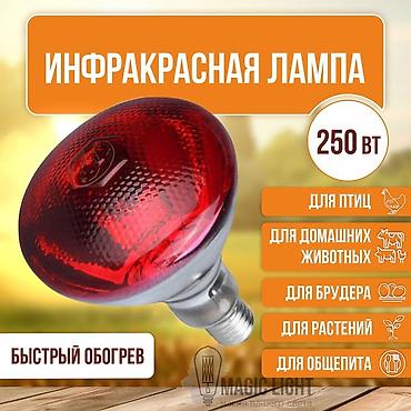 Лампочки: Инфракрасная лампа 250 Вт
150 сом оптом — 1