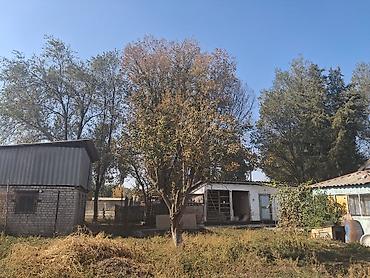 комнату с подселением аламедин 1: 4 комнаты, 1 м², 19 соток, Васильевка, Собственник — 3