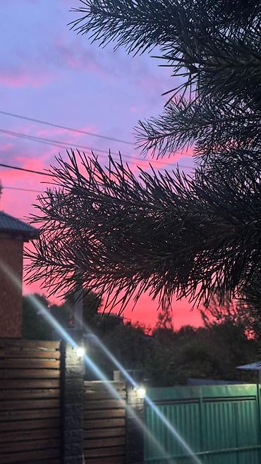 Посуточная аренда домов: 100 м², 5 комнат, Парковка, Видеонаблюдение, Подвал, погреб — 3