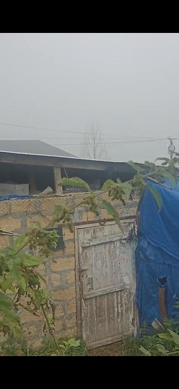 quba bina evleri: 2 otaqlı, 2 kv. m, Kredit yoxdur, Orta təmir — 2