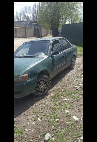 тайота ка: Toyota Corolla: 2000 г., 1.8 л, Механика, Бензин, Седан