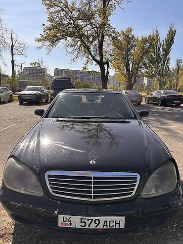 e53 amg: Mercedes-Benz S-Class: 1998 г., 4.3 л, Автомат, Бензин, Седан — 3