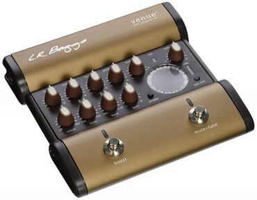 акустические системы со встроенным fm приемником колонка в виде собак: LR Baggs Venue DI – преамп/дибокс для акустической гитары со