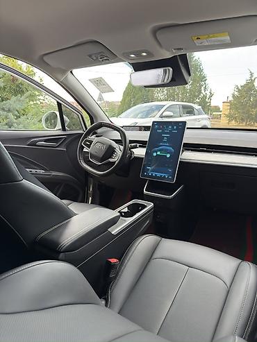 BYD: BYD : 2022 г., Робот, Электромобиль, Кроссовер — 6