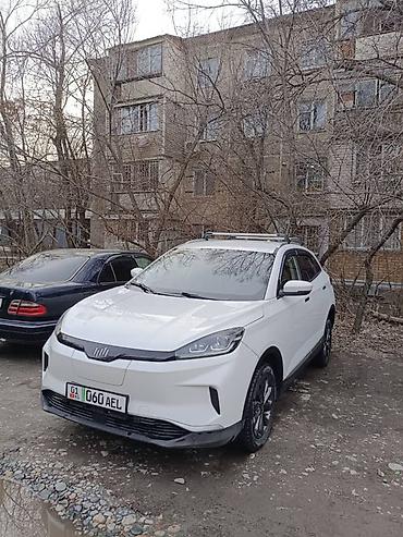 Weltmeister: Weltmeister EX5, 2020 г., 109634 км, Передний, В наличии — 6