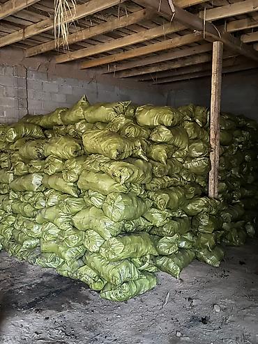угол: Уголь Сулюкта, Самовывоз, Бесплатная доставка, Платная доставка, В розницу, Фракция: Крупный (К), В мешках — 2