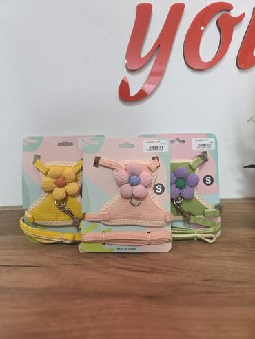 pişik tasması: Kiçik dostlarınız üçün belliklər! 🌸 Taksilə çatdırılma xidmətimiz