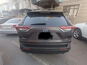 rav4 se: Toyota RAV4: 2020 г., Гибрид, Кроссовер — 2