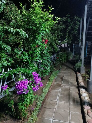 Посуточная аренда комнат: 18 м², С мебелью — 23