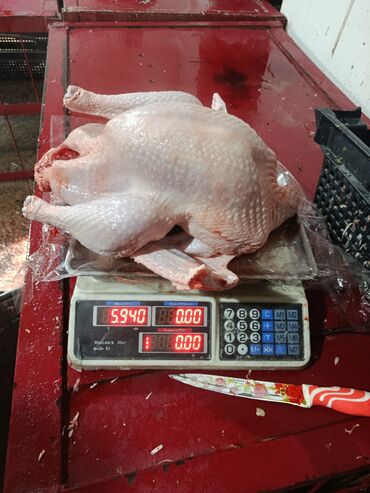 купить собаку боксер: Продаю тушки индюков, вес от 6 до 8кг