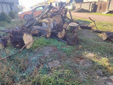 орех дрова: Отун