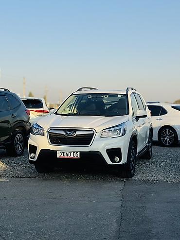рулевая рейка субару форестер sg5: Subaru Forester: 2020 г., 2.5 л, Вариатор, Бензин, Кроссовер — 1