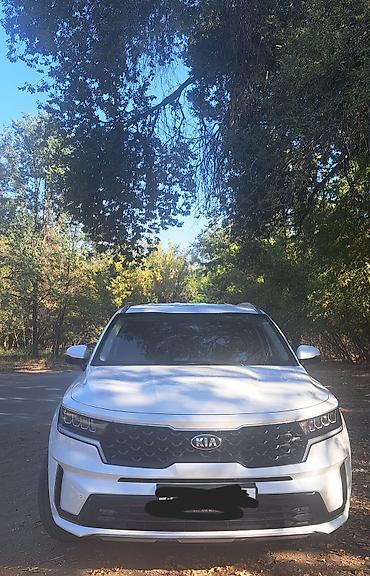 kia rio купить: Kia Sorento: 2021 г., 0.2 л, Автомат, Дизель, Кроссовер — 4