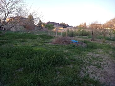 Bağ evlərinin satışı: Digah, 2300 kv. m, 3 otaqlı, Hovuzsuz, Artezian quyusu, İnternet, İşıq — 11