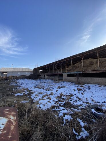 Продажа участков: 20 соток, Для бизнеса, Красная книга, Договор купли-продажи — 6