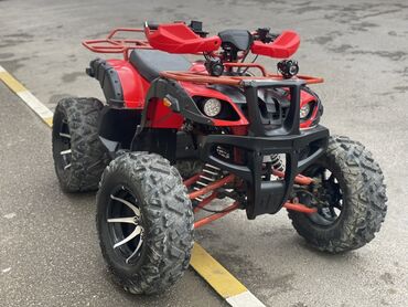 Kvadrosikllar: 200 sm3, 2022 il, 2900 km — 3