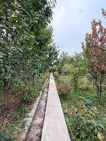 Продажа участков: 13 соток, Для строительства, Красная книга, Тех паспорт — 8